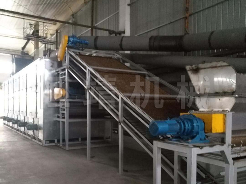 DWT乐鱼（中国）官方网站脱水蔬菜干燥机